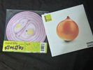RARE Hard Life ONION LP and ONION PICTURE DISC BOTH NEW AND SEALED