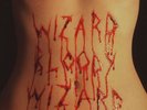 Electric Wizard - Wizard Bloody Wizard (Vinyl LP - 2017 - EU - Original)
