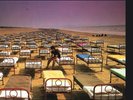 Pink Floyd - A Momentary Lapse Of Reason - 180 Gram Vinyl Record NEW