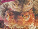 Peter & the Test Tub - Mating Sounds Of South American Frogs [New Vinyl LP]