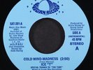ICE-T: coldest rap / cold wind-madness SATURN 7
