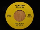The Chats Punk Rock KBD 45 Cant Be Real bw Do The Pogo on Jupiter