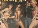 LIL WALLY polka a go-go -BARBARA FELDON cheesecake cover GET SMART NM-