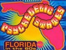various: psychedelic states - florida in the 60s vol.2 2 LP