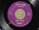 P9 CEE-JAM 3 GARAGE PSYCH ROCK GODFREY GROUP THE TRIP COME ON KIM FOWLEY