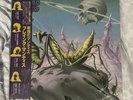 Praying Mantis–Time Tells No Lies (Japan Vinyl LP With OBI) Arista 1981 Rock