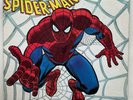 AMAZING SPIDER-MAN From Beyond The Grave BUDDAH BDS 5119 nm/ex 1972 orig POSTER