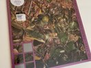 The Stone Roses – So Young / Tell Me | 2025 12″ Raspberry Vinyl Reissue – New