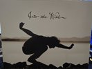 Eddie Vedder Into The Wild (Vinyl, 2010)