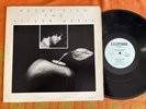 Peter Fish The Silver Apple Original US LP Vinyl Private Label  Avant Garde Jazz