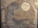 Stone Temple Pilots - Sex Type Thing limited edition single picture vinyl record