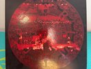 Pearl Jam No Jeremy/Falling Down Live Vinyl 1995 PJ Ten Club Limited Edition