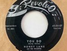 Doo Wop Teener Girl 45 HONEY LANE You Do/Everybody Knew Revolvo HEAR Rare