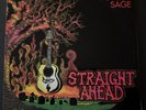 Greg Sage - Straight Ahead (Near Mint Vinyl LP - Tested) 1985 Pressing / Wipers