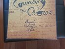 Counting Crows – August And Everything After GEF 24528 Europe 1993 Vinyl NM