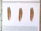 Appleseed Cast -Low Level Owl Vol 1+2 Silver Limited Edition Vinyl *Rare* 3 LPs