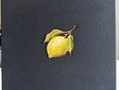 Beyoncé – How to Make Lemonade (Yellow Vinyl) Book (Excellent Condition)