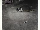 John Zorn - Naked City LP - Elektra Nonesuch SEALED