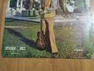 HORACE ANDY - SKYLARKING. CLASSIC REGGAE L.P. STUDIO ONE