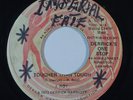 Reggae 45 I ROY/CRYSTALITES Tougher Than Tough/Version on Crystal VG++