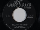 Reggae 45 ROLAND ALPHANSO/ROY RICHARDS Regay In The Grass/Get Smart on Coxsone