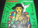Noiseworks – Evolution LP Vinyl Record - New