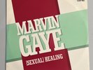 MARVIN GAYE Sexual Healing (Club Mix) 12