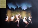 Amorphous Androgynous - The Isness, 2xLP, (Vinyl)