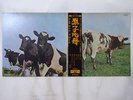 Pink Floyd Atom Heart Mother Odeon OP-80102 Japan  VINYL LP OBI
