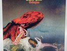 GENTLE GIANT OCTOPUS 12