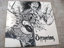 The Offspring/ self title/ Nemesis/ 1989/ 1st press/ No Cargo logo/ Insert