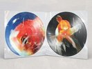 VINCE STAPLES Big Fish Theory 2LP Picture Disc 2017 EU Vinyl (Flume) BRAND NEW