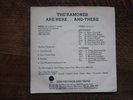 Ramones - Are Here and There, Road to Ruin Sampler 7