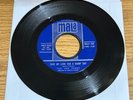 NORTHERN SOUL 45 THE VAN DYKES SAVE MY LOVE FOR A RAINY DAY MALA 584 M- BEAUTY