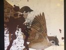 BRING ME THE HORIZON -This Is What The Edge Of Your Seat Was Made For VINYL LP