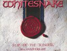 WHITESNAKE - Slip Of The Tongue (30th Anniversary Edition) (remastered) - 2xLP