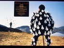 Pink Floyd - Delicate Sound Of Thunder 1988 2xLP, Album, G - Columbia PC2 44484