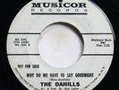 DAHILLS - WHY DO WE HAVE TO SAY GOODNIGHT/ MICHELLE - GARAGE ROCK 45 *PROMO*
