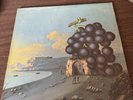 Moby Grape : WOW First Press Columbia 2-EyE Label LP Gatefold 1968