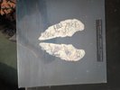 Coldplay Ghost Stories Vinyl LP Record 2014