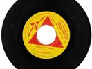 Browne Bunch – There's Fun For All / Something Silly, TRIANGLE 7