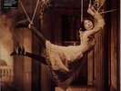 Porcupine Tree Signify  2xLP  Neu OVP Mint DoLP RE 2021
