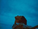 Apart [VINYL], LÉON, New