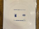HIPPO CAMPUS Limited Edition / 1000  Clear Flexi-Disc vinyl 