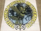 Chris Robinson Brotherhood S/t 10” (from The Black Crowes)
