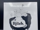 Vinyl Record | Björk | Greatest Hits