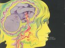 The Keith Tippett Group - Dedicated To You, But You Weren't Listening (LP)