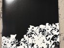 Songs: Ohia - Didn't It Rain 2x Vinyl LP Reissue