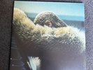 Lemonade [Yellow 180 g Vinyl] [Gatefold Cover] by Beyoncé (Record, 2017)