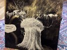 Radiohead / Pyramid Song 2001 UK 12in Vinyl Thom Yorke Amnesiac Kid A